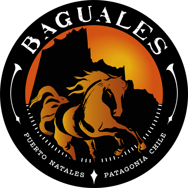 Logo Baguales Patagonia